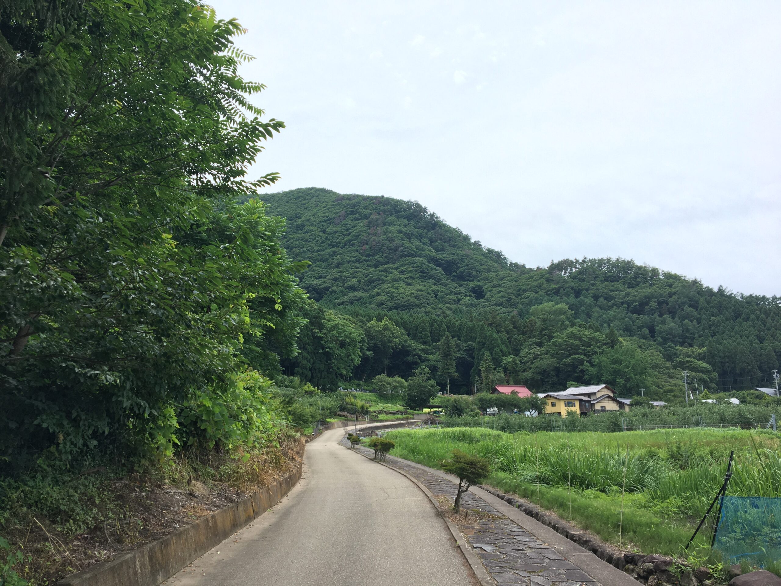 サイクリングコース　温泉ルート