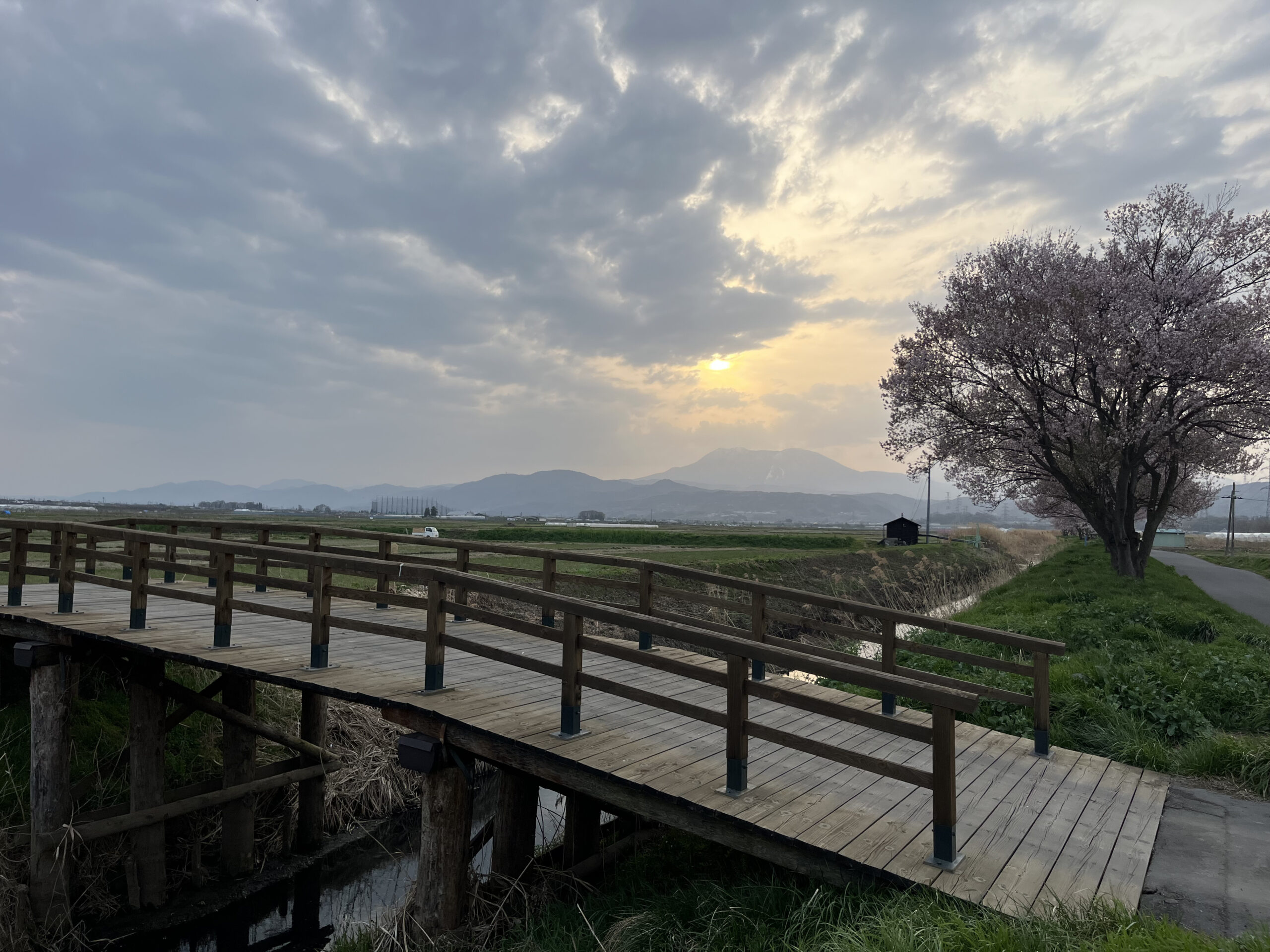 サイクリングコース　木橋ルート